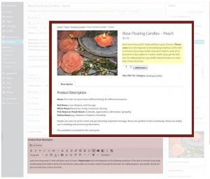 WooCommerce Short Description